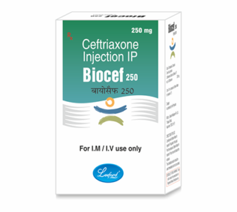 BIOCEF 250 INJECTION 10ml