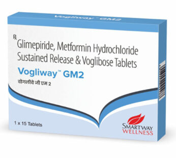 Vogliway GM2 Tablet