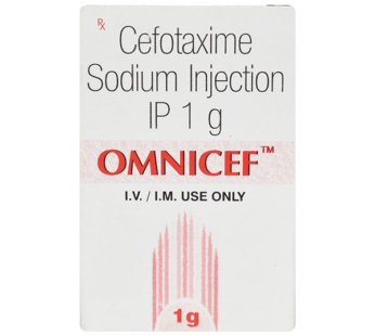 Omnicef 1gm Injection